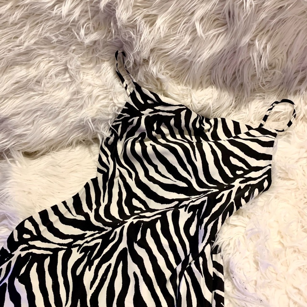NWT | Urban Outfitters Mallory Zebra Dress